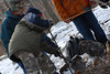 Belovarac > Klondike Derby 2008 photo
